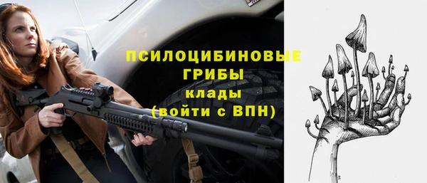 крисы Каменск-Шахтинский