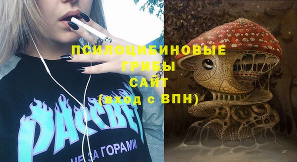 прущая мука Каменногорск