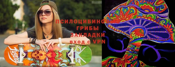 прущая мука Каменногорск