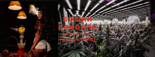 прущая мука Каменногорск