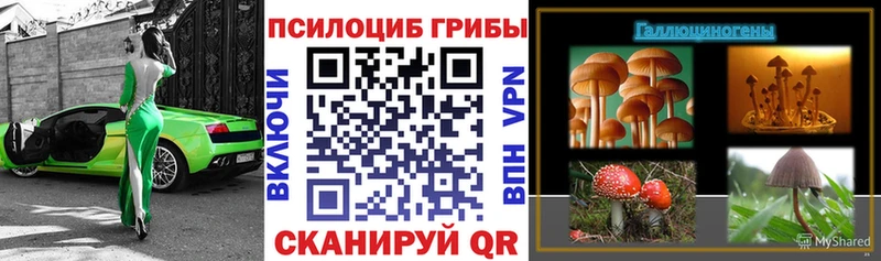 Купить где  Сосновка  Псилоцибиновые грибы GOLDEN TEACHER 